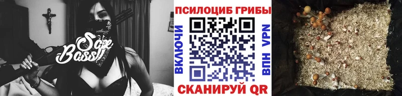 Псилоцибиновые грибы мухоморы OMG как войти Ряжск